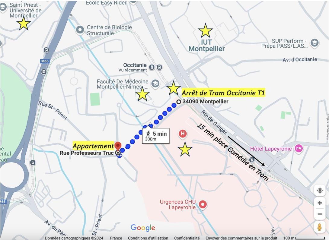 דירות מונפלייה Joli T2 Pour 4 A 5 Personnes Proche De La Fac De Medecine Et A 300M Du Tram 1, Parking Gratuit מראה חיצוני תמונה